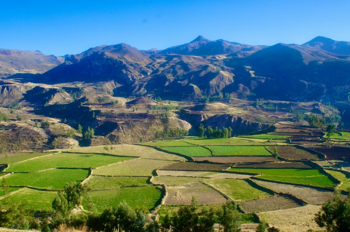 Terraced fields in a mountainous landscape under a clear sky