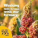 WhatsApp Image 2024-10-18 at 2.59.00 PM (1).webp